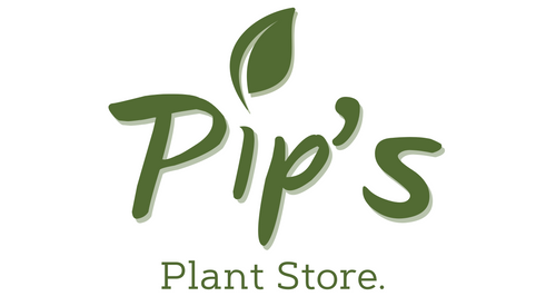 Pip´s Plant Store